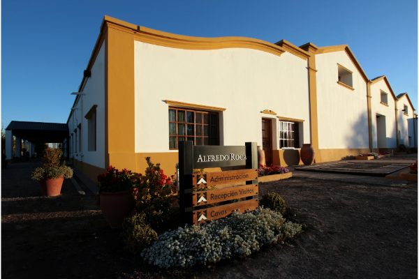 Experiencias en bodega Alfredo Roca
