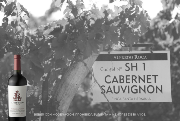 Día internacional del Cabernet Sauvignon