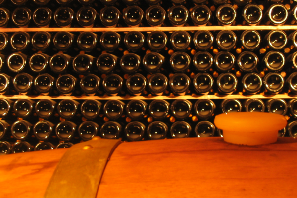 Encuentro online con Don Alfredo Roca y su familia - 14 de Agosto 2020